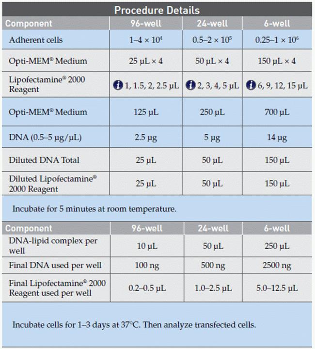 Plasmid transfection
