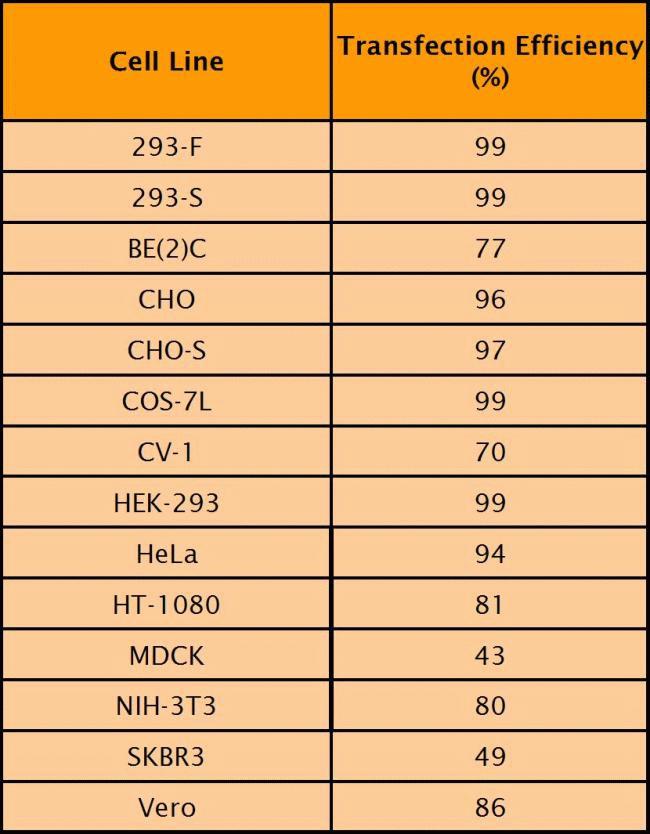 Lipofectamine™ 2000 cell line performance