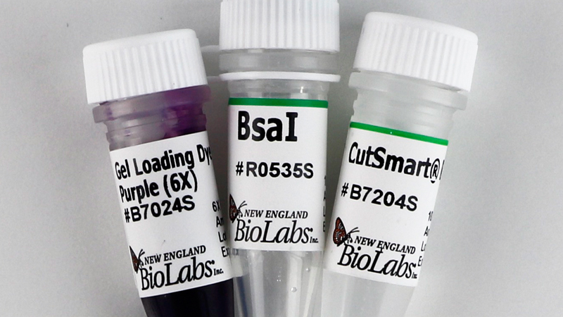 生物试剂 限制酶及其他工具酶类 限制性内切酶 询货