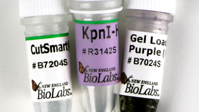 生物试剂 限制酶及其他工具酶类 限制性内切酶